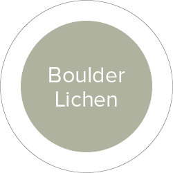 Boulder Lichen Histor My Color
