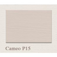 Painting the Past Matt Emulsion Muurverf 2,5 ltr - P15 Cameo