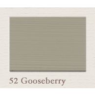 Painting the Past Samplepotje Outdoor 60 ml - 52 Gooseberry